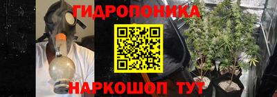 СК Дубна