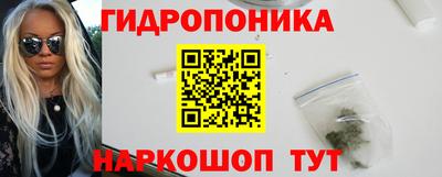 СК Дубна